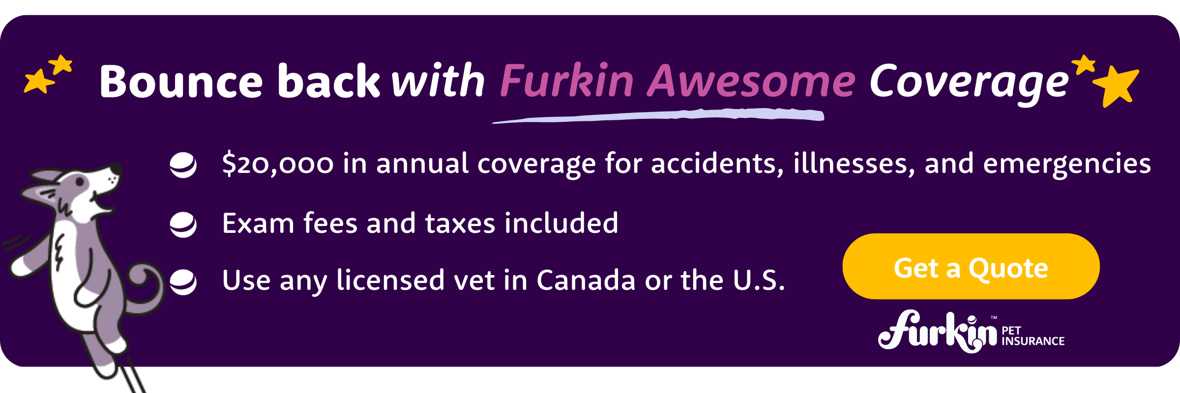 What to Do if You Can’t Afford a Vet Bill - 4 Solutions